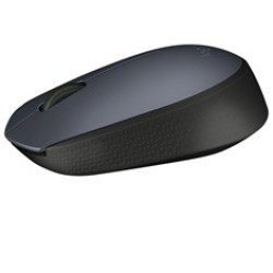 MOUSE RATON LOGITECH M170 OPTICO WIRELESS