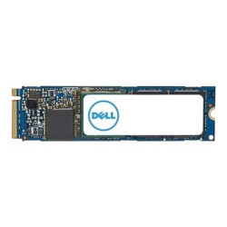 DISCO DURO INTERNO SSD DELL M.2