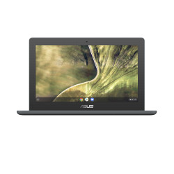 PORTATIL ASUS CHROMEBOOK C204MA - GJ0342 CEL N4020