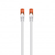 CABLE RED EWENT LATIGUILLO RJ45 UTP