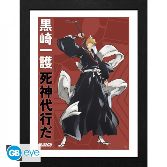 CUADRO GB EYE BLEACH TYBW ICHIGO Libretas - posters y bolígrafos